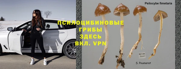 эйфоретик Бородино