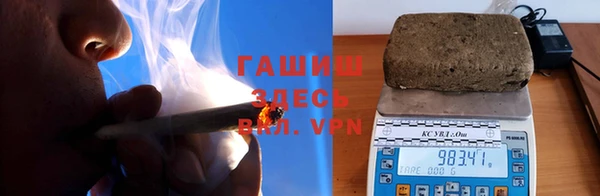 эйфоретик Бородино