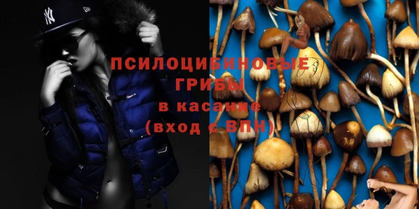 бутират Бугульма
