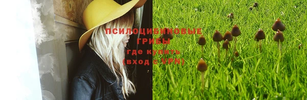 эйфоретик Бородино