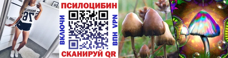 Галлюциногенные грибы Magic Shrooms  сколько стоит  кракен зеркало  Крым 